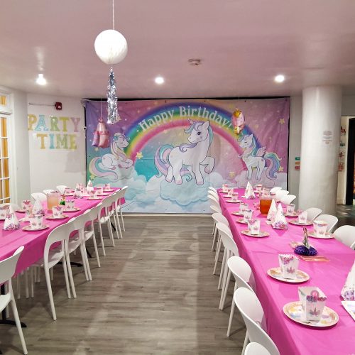 Unicorn Princess Party